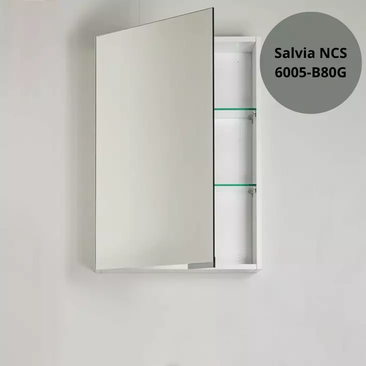 PUR Peilikaappi salvia NSC 6005-B80G - Peilikaapit - KYSLP50 - 5