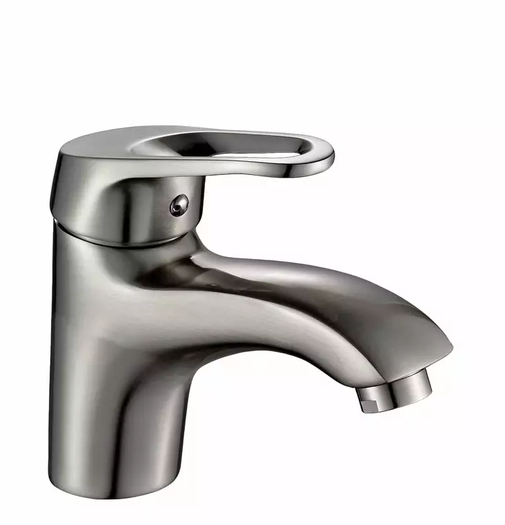 Pesuallashana Euroleon - Pesuallashanat - 10342 - 1