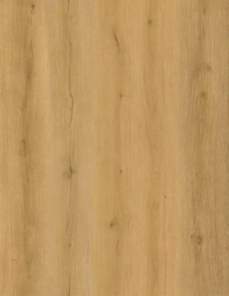 Vinyylilattian i4f-2309 mallipala - Vinyylilattioiden mallipalat - MALLIPALA2309 - 1