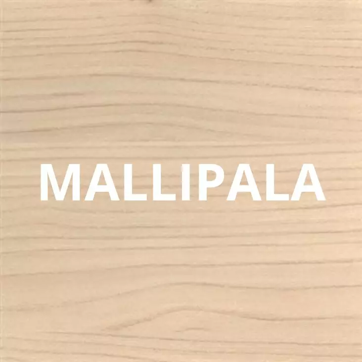 Työtason 4529 ALEVE mallipala - Tasojen mallipalat - MALLIPALA4529 - 4