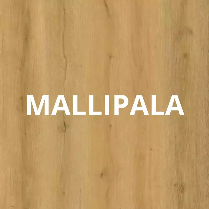 Vinyylilattian i4f-2309 mallipala - Vinyylilattioiden mallipalat - MALLIPALA2309 - 2